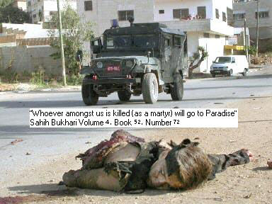 whoever_is_killed_as_a_maryr_will_go_to_prardise_sahih_bukhari_4_52_721.jpg